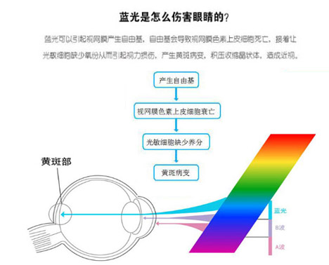 藍(lán)光的危害